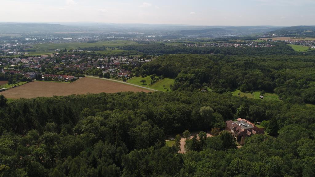 Bb Haus Neugebauer Garni Hotell Geisenheim Exteriör bild